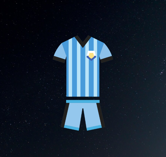 FORNITORE DI ARTICOLI CALCISTICI