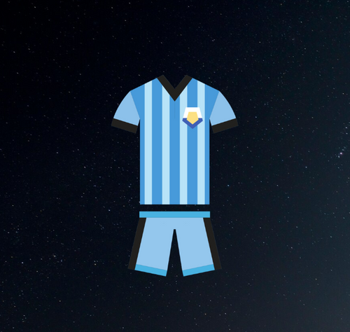 FORNITORE DI ARTICOLI CALCISTICI